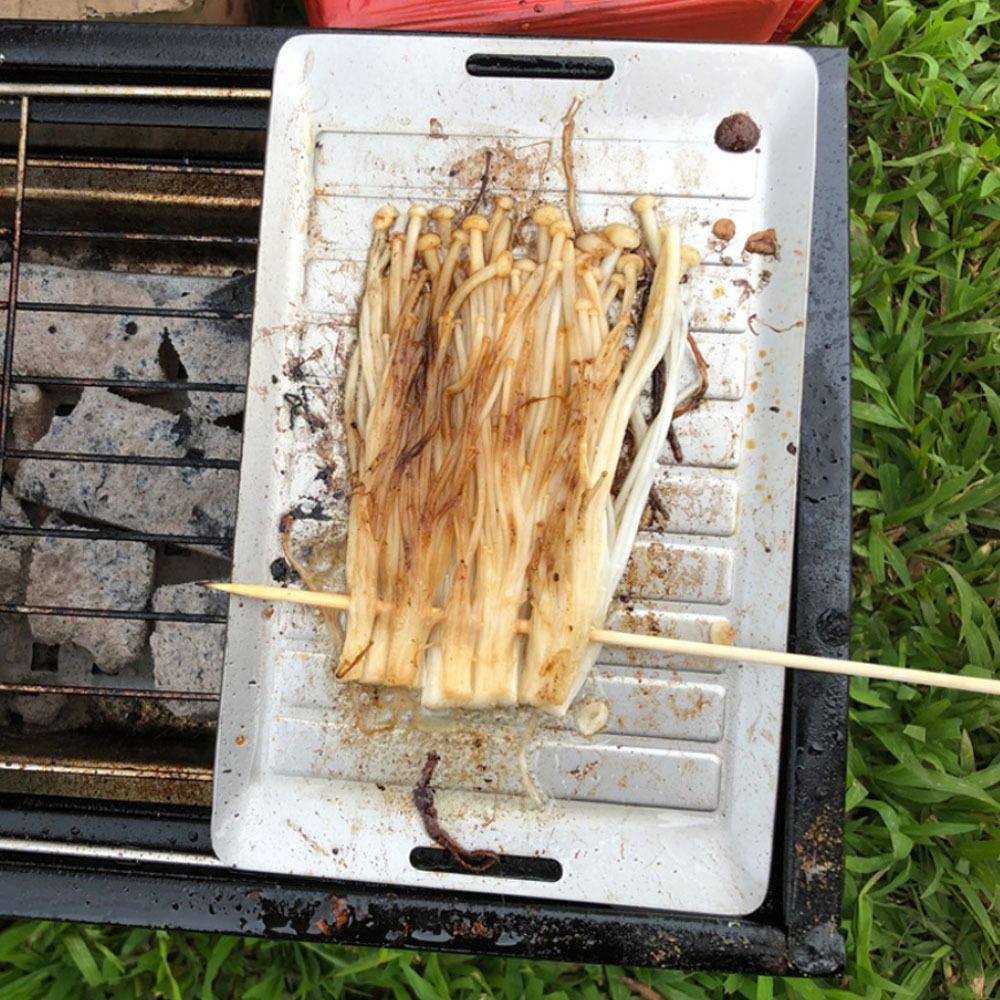 Durable Titanium Camping Grill - مراجعة Camping Cooking Pan وسعره