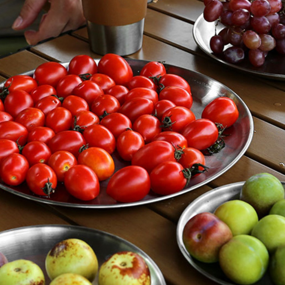 1 PCS  Stainless Steel  Plates - مراجعة Camping Cooking Dishes وسعره