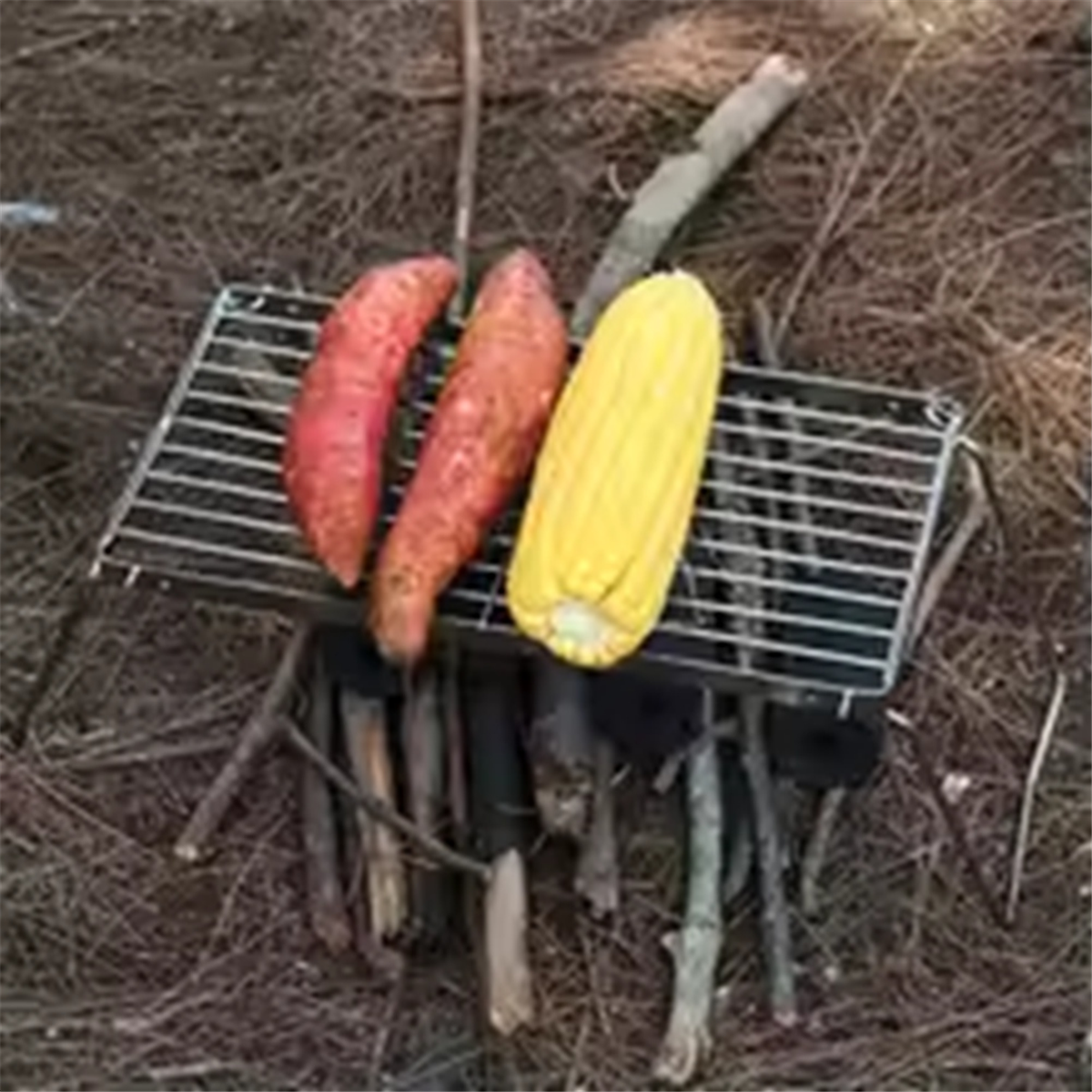 NEW Portable Stainless Steel C - مراجعة Camping Cooking Equipment Electric وسعره